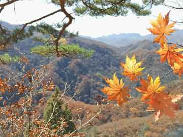 2024年12月30日