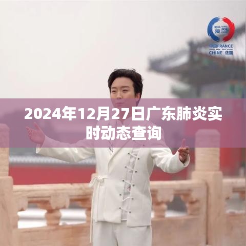 廣東肺炎實(shí)時動態(tài)查詢（最新更新至2024年12月27日）