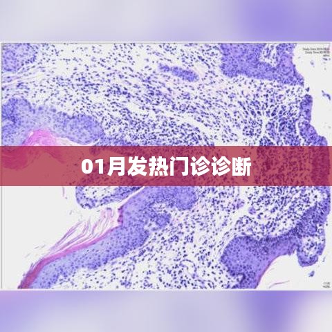 01月發(fā)熱門診診斷詳解